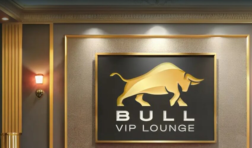 Bull casino